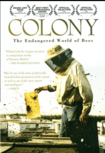 Colony