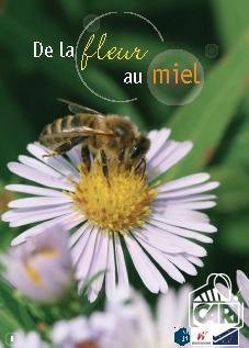 De la fleur au miel À louer