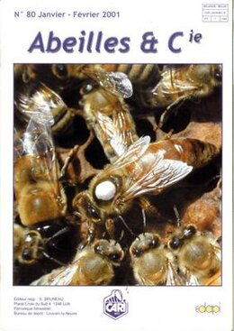 Abeilles & Cie 80