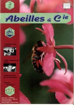 Abeilles & Cie 67