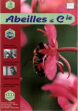Abeilles & Cie 62