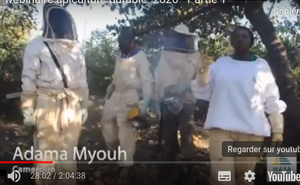 L'apiculture durable au Nord et au Sud