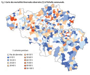 L'enquête COLOSS, un précieux éclairage sur les mortalités hivernales et les pratiques apicoles