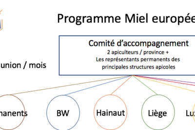 Programme Miel européen - Structure du Comité Miel (comité d'accompagnement)