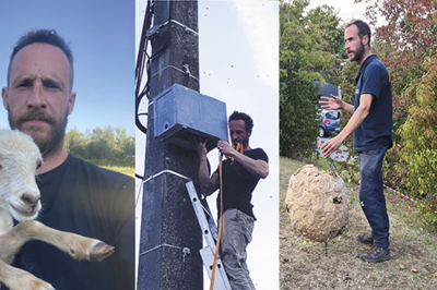 De l'éco-paturage à la gestion d'essaims : diversifier ses activités en développant une apiculture collective et de services