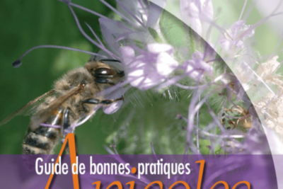 Guide des bonnes pratiques