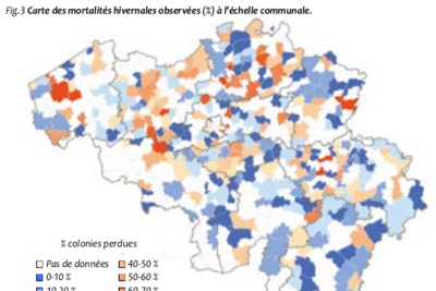 L'enquête COLOSS, un précieux éclairage sur les mortalités hivernales et les pratiques apicoles