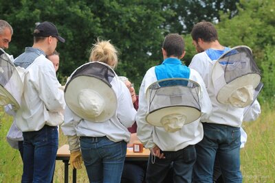 Ecoles d'apiculture en Wallonie et à Bruxelles