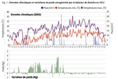 Bilan 2022, une année au climat record : chaude, sèche et ensoleillée