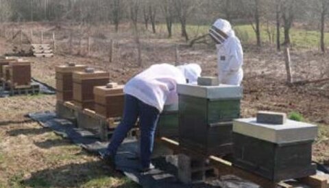 L es Butineuses : la carte de la diversification jouée avec passion et énergie Agnès Fayet