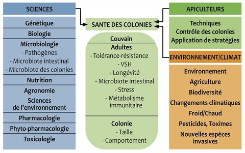 Matrice d'un système transdisciplinaire au service de la santé des abeilles