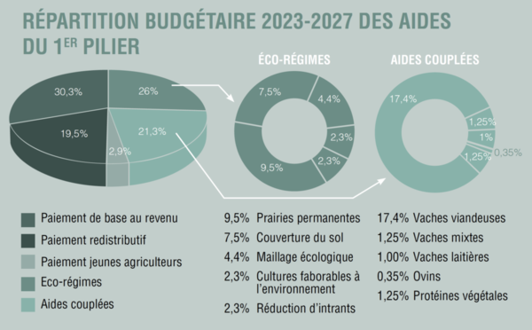 Répartition budgétaire du premier pilier - <p>Source : «<small class="fine d-inline"> </small>Les nouvelles de l'agriculture #16<small class="fine d-inline"> </small>», la nouvelle politique agricole commune 2023-2027, page 12</p> - Source : «<small class="fine d-inline"> </small>Les nouvelles de l'agriculture #16<small class="fine d-inline"> </small>», la nouvelle politique agricole commune 2023-2027, page 12
